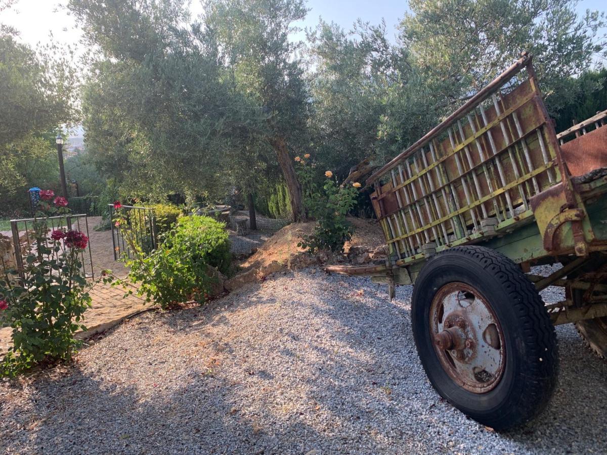Pozo Alcón Casas Rurales Cazorla-Alcon מראה חיצוני תמונה